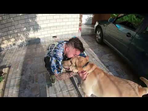 AUTOBOT @ BAR DO MORRO - Sapiranga / RS