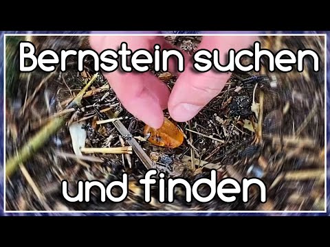 Finding amber - a successful amber search