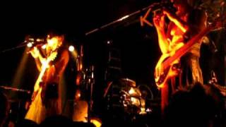 Sleepytime Gorilla Museum (Key Club) - Old Grey Heron