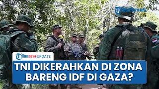 Dokumen AS Bocor! Tentara RI Disebut Bakal Dipasang dalam Operasi Bersama IDF di 'Zona Hijau' Gaza