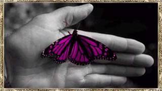 Lisa Ono: ♫ Borboleta ♫ (Música de Natal)