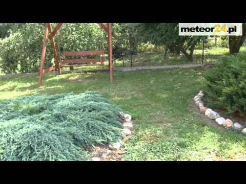 Agroturystyka, Kwatery Gutowo  - Brodnica meteor24.pl