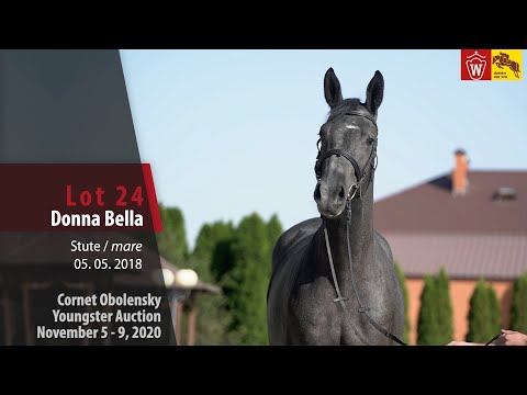 Cornet Obolensky Youngster Auction-Lot 24  Donna Bella  mare by Diamant de Semilly-Cornet Obolensky