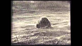 Built to Spill - Nowhere Nothin&#39; Fuckup