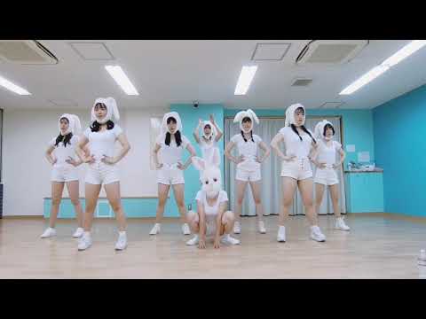 PINKFANTASY/IRIWA cover by Darkfantasy