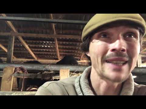 Verwundert über die Verwunderung