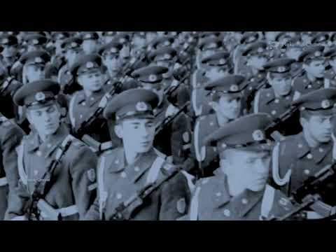 STÖK : Stalingrad fylla (Musik video)