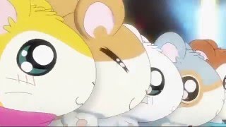 Download lagu Tottoko Hamutaro Dechu OP 2 mp3 Download lagu Tottoko Hamutaro Dechu OP 2 mp3