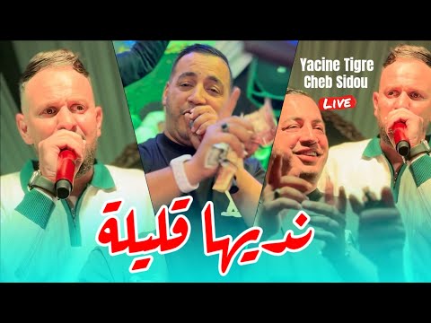 Yacine Tigre ft Cheb Sidou - نديها قليلة N3alamha L'amour ©️ Avec Okba Rega live 2025