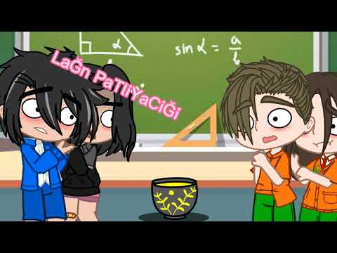 özeL okulndA deneY vS devleT okulundA deneY