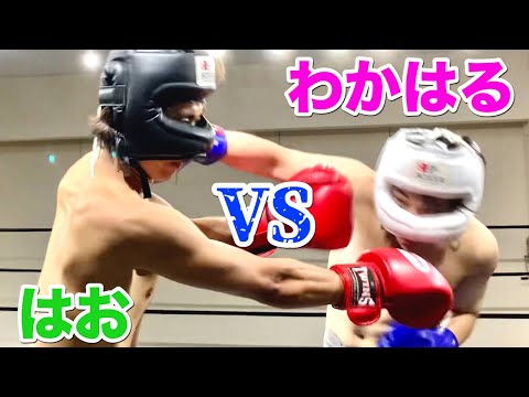 【上京ブルドッグ】わかはるVSはお ガチボクシング対決したら救急車を呼ぶ事態に…