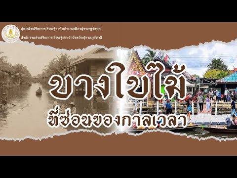 บางใบไม้...ที่ซ่อนของกาลเวลา