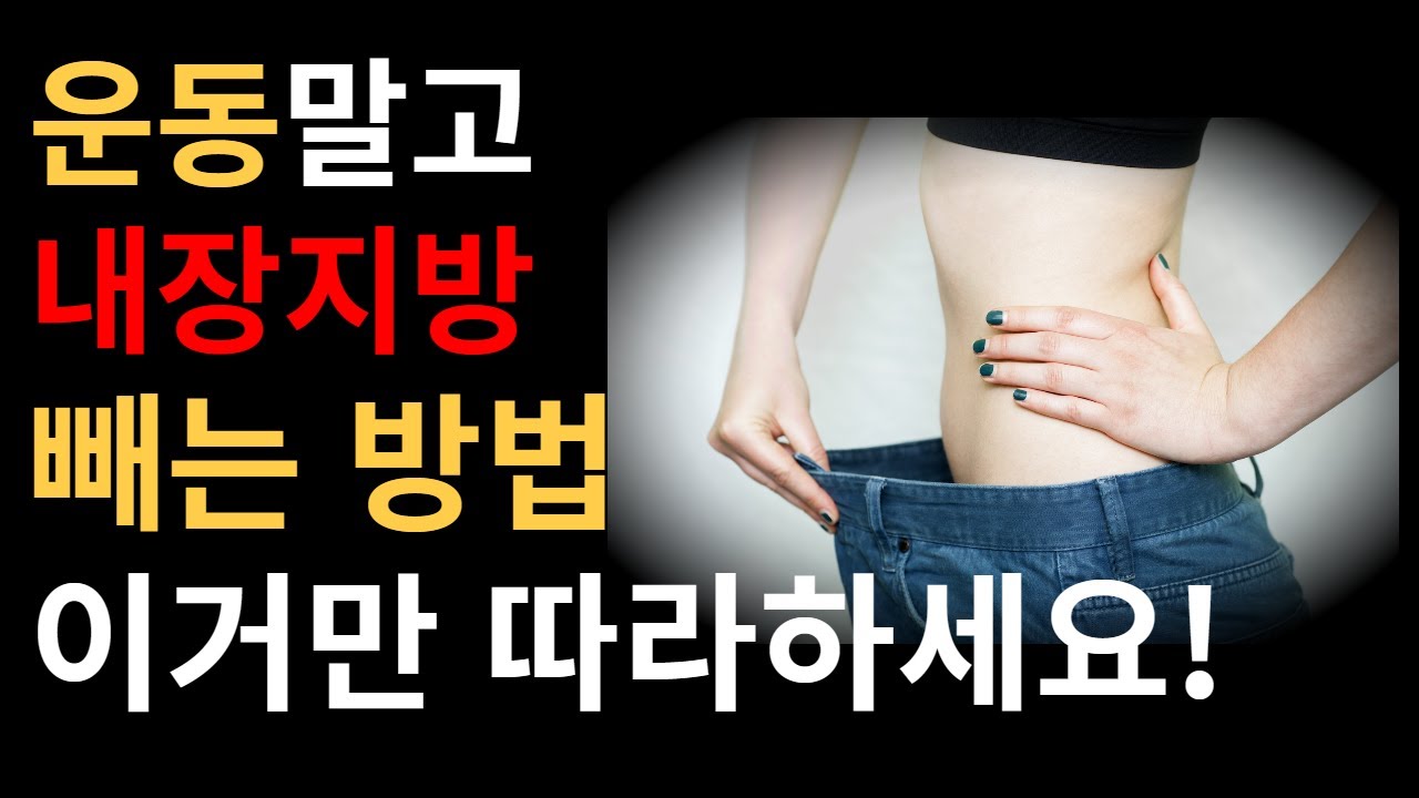 내장지방 운동과 이거 해야 빠집니다