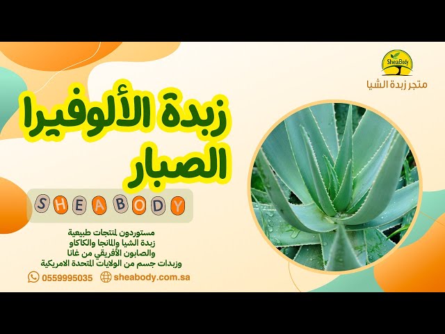 زبدة الألوفيرا الطبيعية