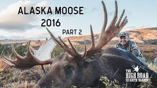 Alaska Moose 2016 Part 2