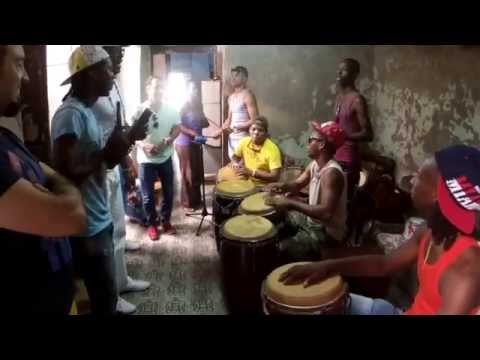 Ensayo Osain del Monte - La Habana