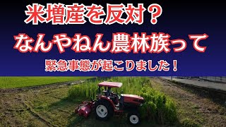 Remove the phrase increase rice production! What is this about agriculture and forestry?