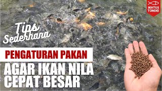 Download lagu Simple Calculations for Tilapia Feed for Successful Tilapia Cultivation | Ikhtus Tondei mp3 Download lagu Simple Calculations for Tilapia Feed for Successful Tilapia Cultivation | Ikhtus Tondei mp3