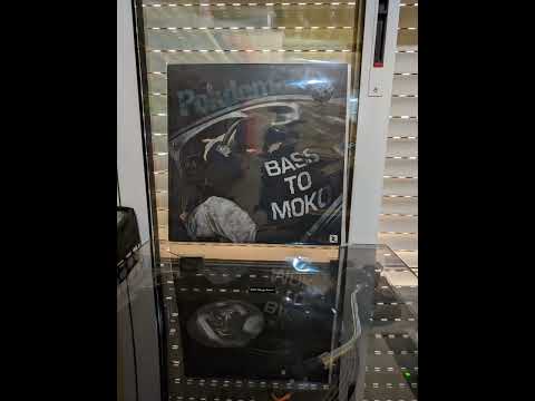 Pokdemons - Bass Tomoko