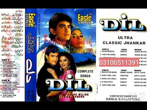 Ham Pyaar Karne Wale (Eagle Jhankar/movie Dil(1990)Udit Narayan,, Anuradha Paudwal
