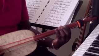 Cheikh Ndoye (Ngoni Bass Demo) 1