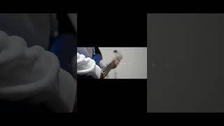 ヨルシカ LIVE TOUR 2025「盗作再演」盗作/創作セトリメドレー Guitar＆Basscover byフクレモ.  #盗作live  #キタニタツヤ【#盗作】【#ヨルシカ】【#盗作再演】