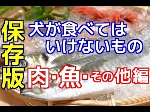 犬はオリーブを食べても大丈夫ですか?