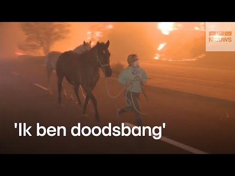 Villawijken Los Angeles gaan in rook op door natuurbranden