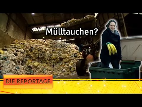 600 kg of garbage per capita? Austria's garbage collectors | 1/2 | The report | ATV