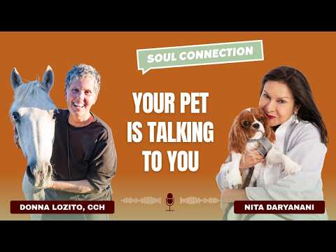 Can Your Pet Talk to You? Animal Communication, Soul Contracts & Healing