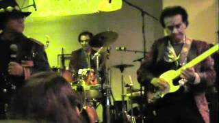 Los Felinos El Venadito