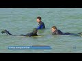 Itajaí é Destaque No Surf