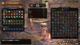 大佐と始めるダブル縛りモンスターハンターサンブレイク　23日目