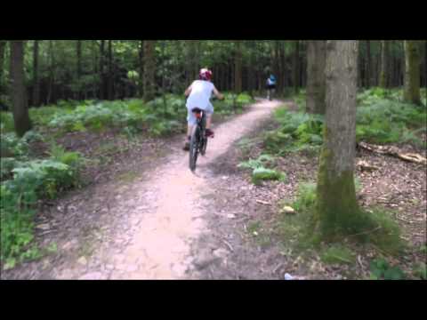 Forest of Dean 26 07 2014