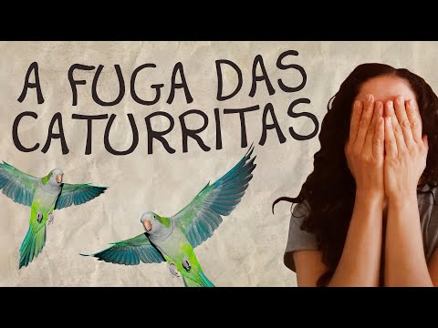 A Fuga das Caturritas!