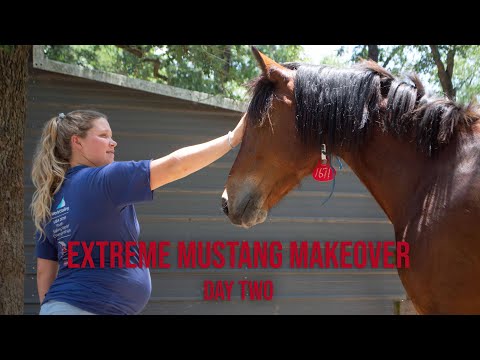 Extreme Mustang Makeover | Day Two
