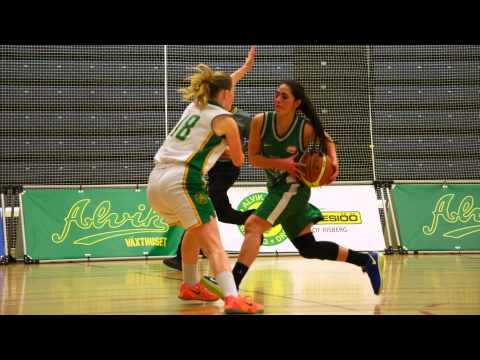 Alvik Basket F15 - 7 dagar kvar!