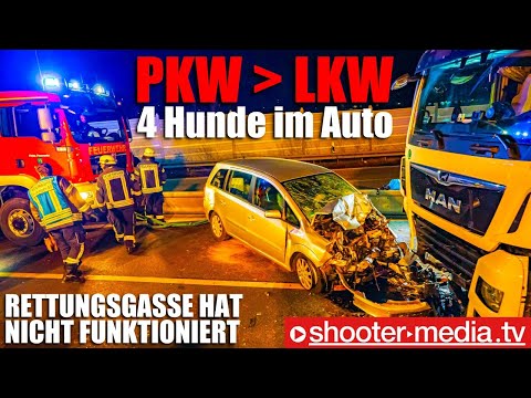 ⛔️  PKW kracht frontal gegen LKW  ⛔️ | 🚒  Rettungsgasse hat nicht funktioniert  🚒 | 4 Hunde im Auto