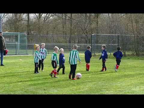 MVV '27 Mini F -  LYRA Mini F