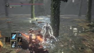 DARK SOULS III　THE FIRE FADES EDITION 酔いどれエンジョイのに日々#2 まさかのダブルキル！？