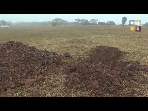 Using gypsum to increase water use, yields and profits