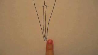 水尻自子「しりプレイ」Shiri Play  (2005)