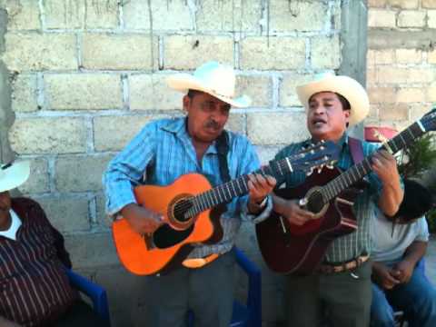 Los Jilgueros Del Pico Real (El chivero)