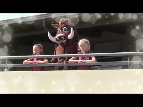 Dream a dream Midstream Ridge