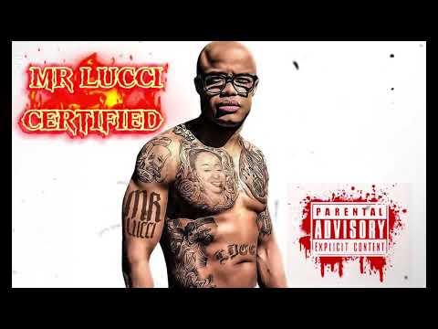 MR LUCCI - CERTIFIED
