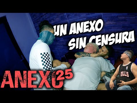 Anexo 25 │ Christian Meza