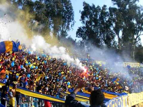 "Salida LOS DEL CERRO, EVERTON vs caracas" Barra: Los del Cerro • Club: Everton de Viña del Mar • País: Chile