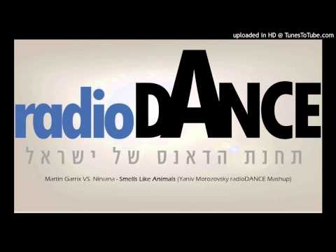 Martin Garrix VS. Nirvana - Smells Like Animals (Yaniv Morozovsky radioDANCE Mashup)