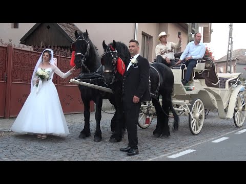 Nunta de poveste, Nunta lui Vasile&Madalina   Calata, Cluj - Romania  - 2025 Nou!!!
