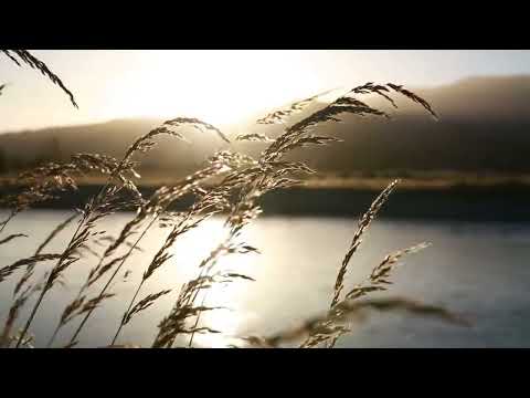 A Woman Turning Around